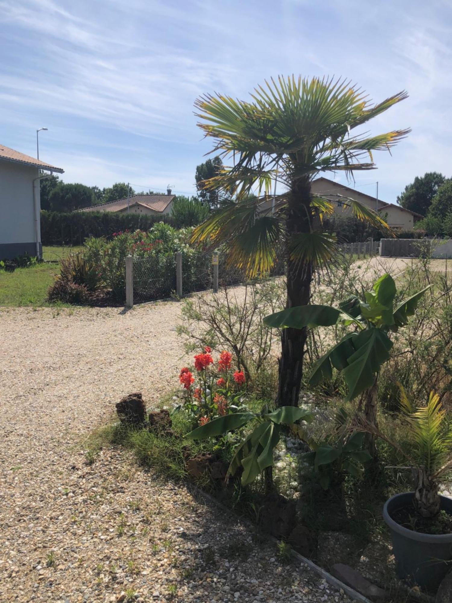 "Les Logis D'Argent" Chambre D'Hote Avec Wc, Sdb, Tv, Wifi, Option Petit Dejeuner , Parking Mimizan-Plage Eksteriør bilde